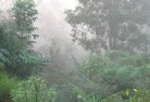 Hawthorn SAlandscaping-irrigation-4.jpg; ?>